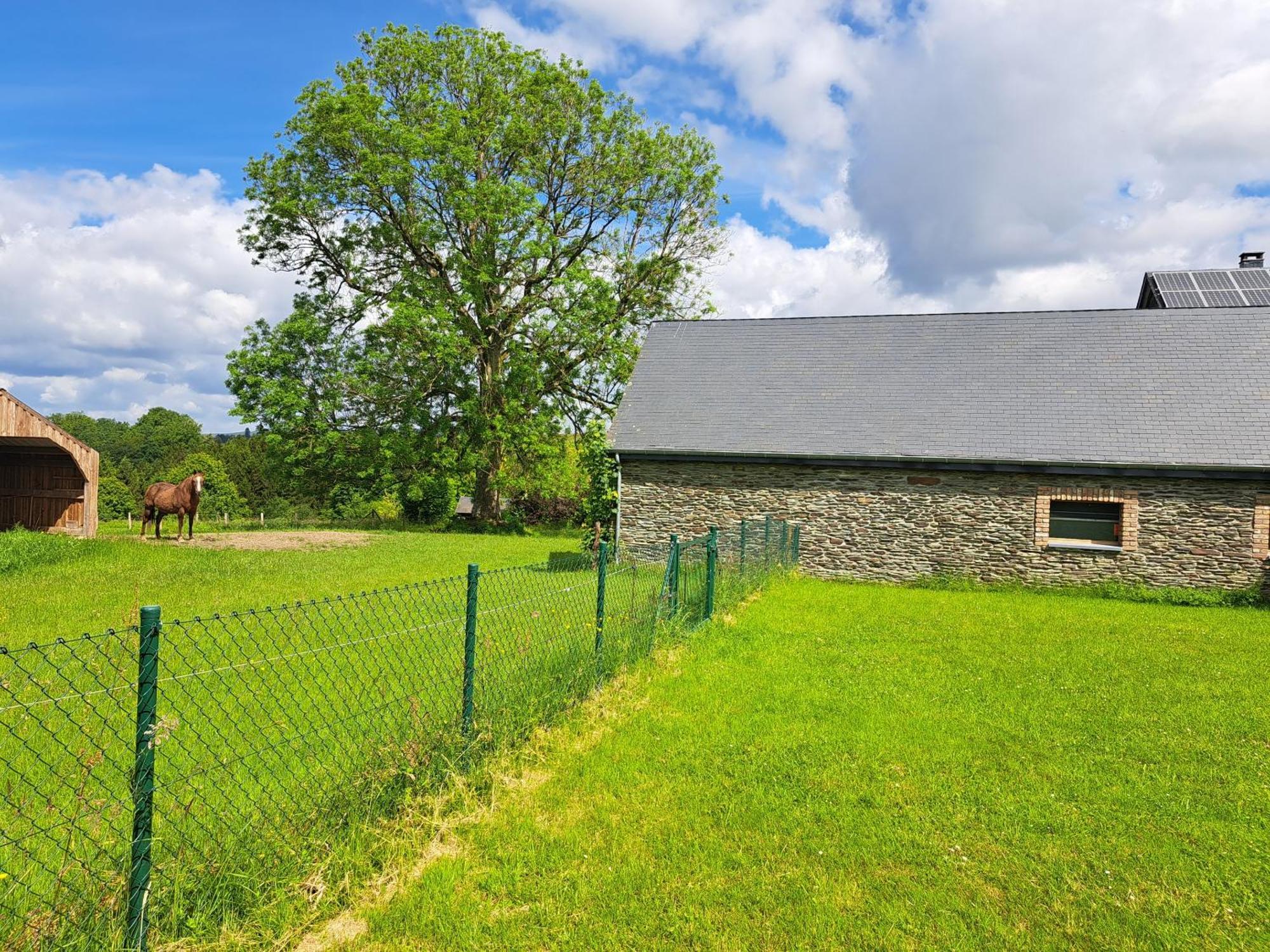 Gite L'Olivier A Filly - Nadrin, Entre Houffalize Et La Roche-En-Ardenne Екстериор снимка